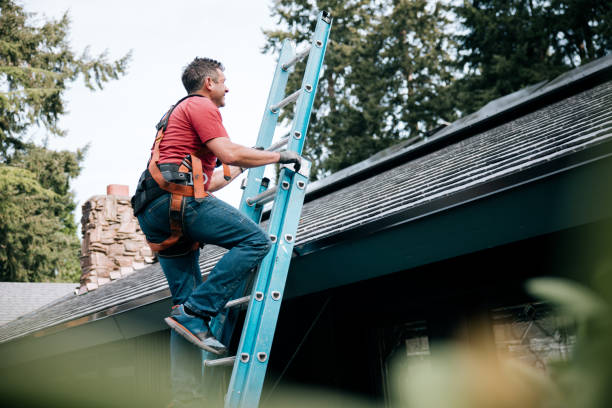 Best Chimney Flashing Repair  in Kings Point, NY